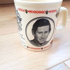 The Marriage Of The Prince Of Wales &  Lady Diana Spencer  Mug 1981
