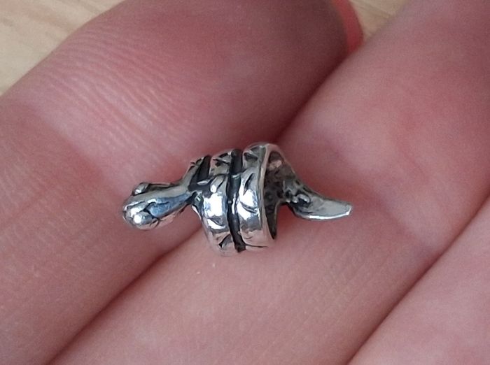 Silver snake charm