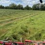 Hay Image 3