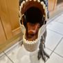 jurassic world dinosaur Image 5