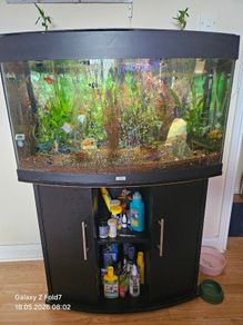 aquarium with fish and full equipment