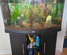 aquarium with fish and full equipment