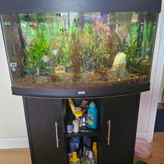 aquarium with fish and full equipment