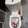 Fully Back to Wall Toilet & Fittings + Seat Image 3