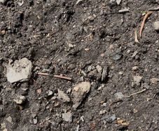 top soil