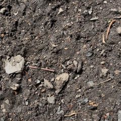 top soil