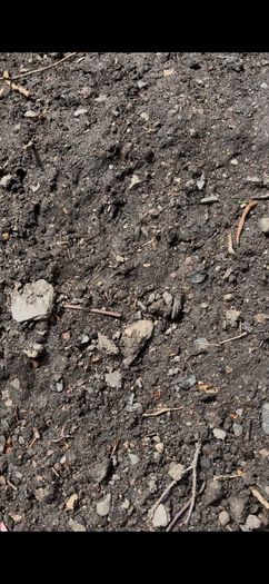 top soil