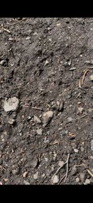 top soil