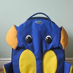 Travel Luggage Suitcase for Children