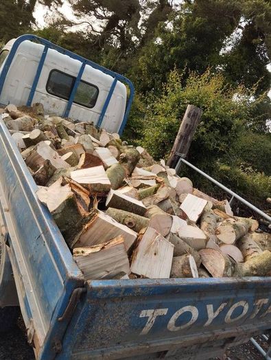 hardwood firewood