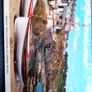 Old Postcards. Ireland/Dollard. Image 3