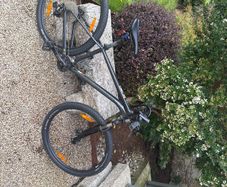 Cannondale trail bike