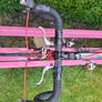 Fuji Racing Bike Image 6