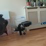 Bodymax Infiniti R70i Rowing Machine Image 3