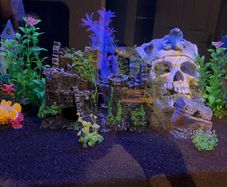 plecos