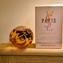 Rare Ysl Paris Roses Enchantees Limited Edition  125ml Image 3