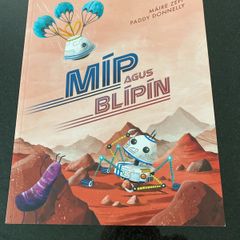 Irish language children's book
