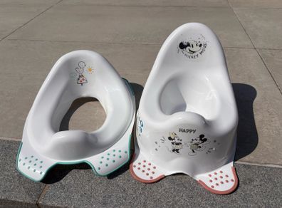 Potty and Toilet Seat