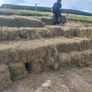 Hay Image 3