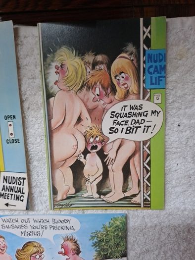 5 Bamforth nudist colony saucy postcards.