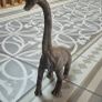 Brachiosaurus Image 5