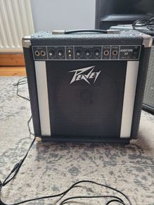 peavy audition 30 amp
