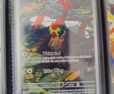 Pokemon Yanma 183/182 Illustration Rare Destined Rivals Holo Near Mint