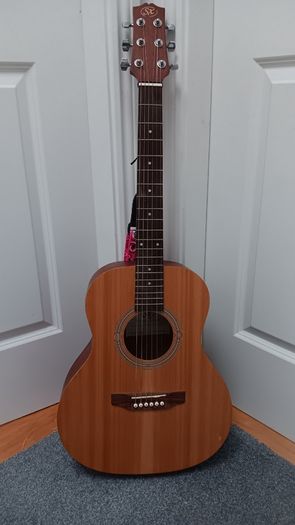 Travel Acoustic Guitar