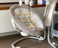 baby swing free