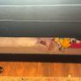 Sofabed Image 2
