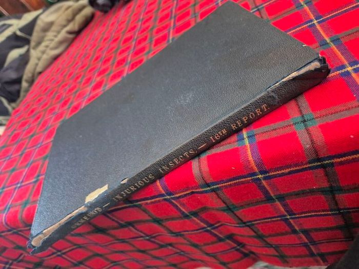 Injurious insects by Ormerod 16th report original Antique book