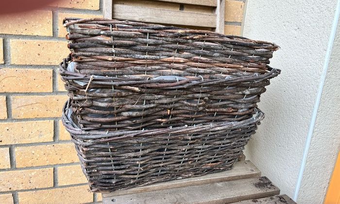 Assorted Planters and Pots