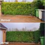 Landscaping hedge trimming Image 7