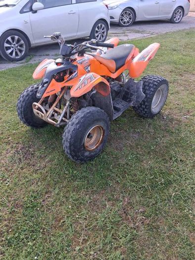 Palaris Quad