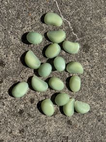 Glow in the dark pebbles