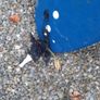 Surfboard Olaian 8.6ft foamy Image 2