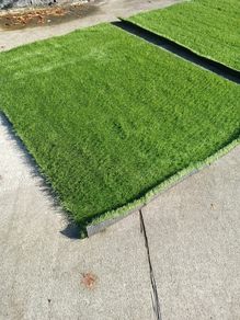 Artificial grass