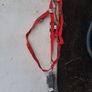 equestrian, head collar with lead,size full Image 3