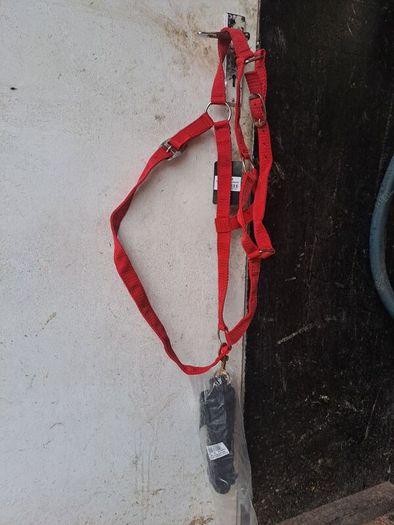 equestrian, head collar with lead,size full
