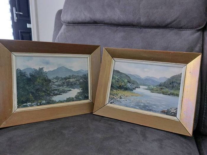 2 oil paintings- signed D. O'Donnell