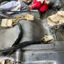 Kawasaki Triple S3 400 engine Image 2