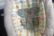 Baby Bouncer