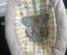 Baby Bouncer