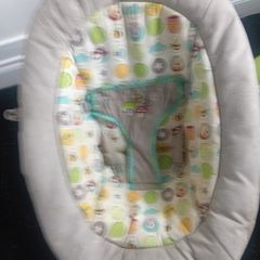 Baby Bouncer