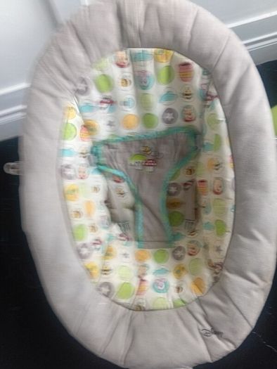 Baby Bouncer