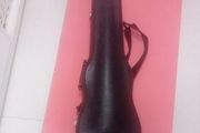 Viola case