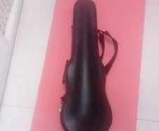 Viola case