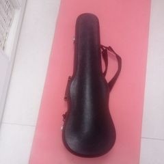Viola case