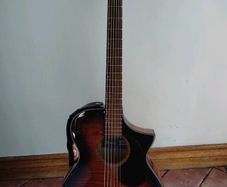 ibanez aewc400