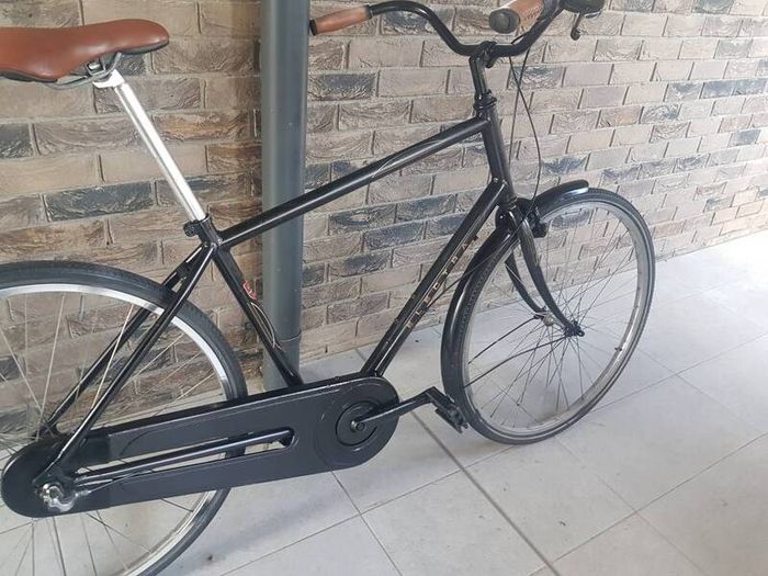 Mens bicycle ( can deliver)